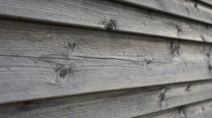 Bardage bois grisaille : tout comprendre pour profiter (ou prévenir) le grisonnement